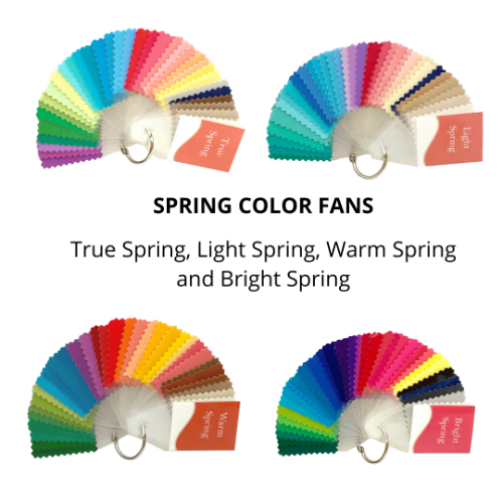 COOL WINTER Seasonal Color Fan by Style Solutions for You 